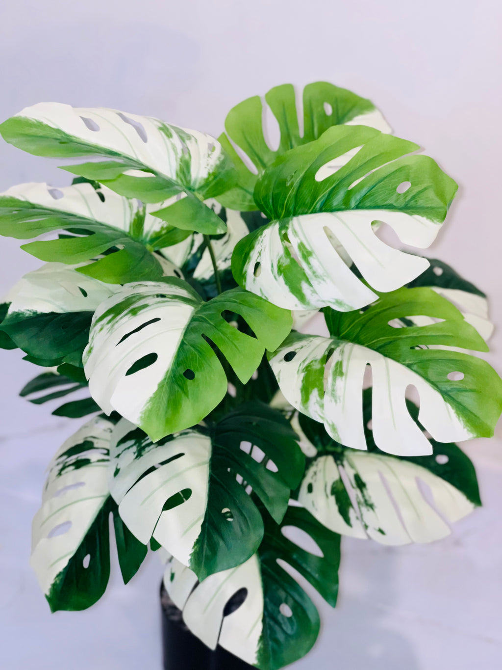 🤍🌿 Elegant White & Green Leaf Floral Plant