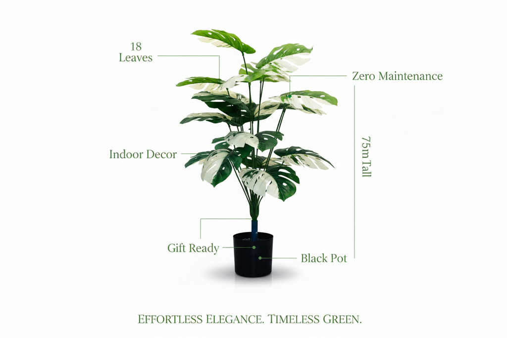 🤍🌿 Elegant White & Green Leaf Floral Plant