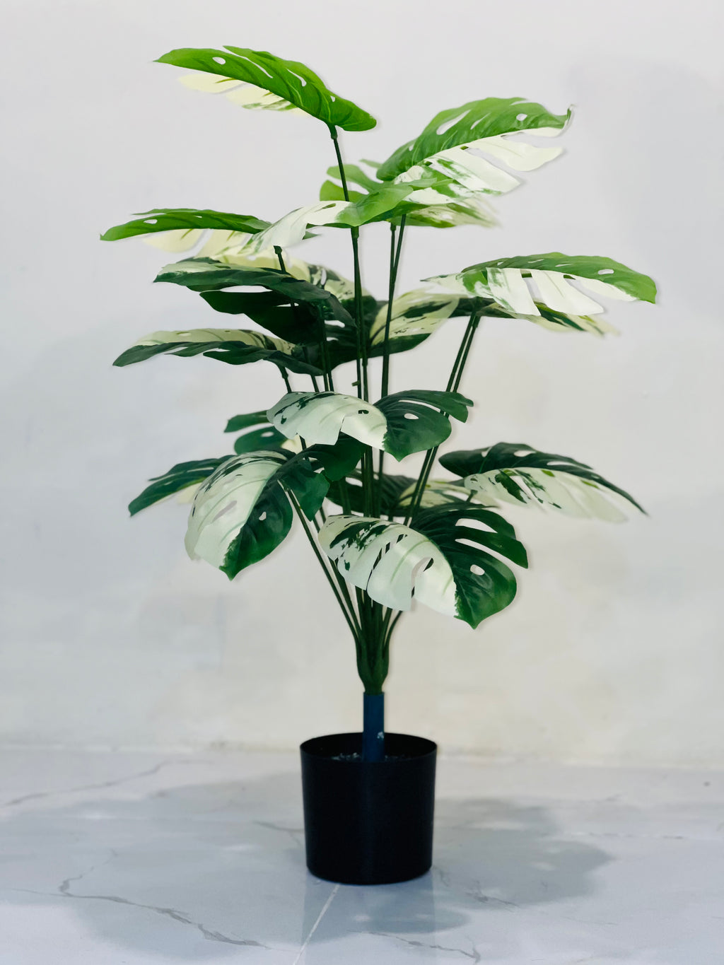 🤍🌿 Elegant White & Green Leaf Floral Plant