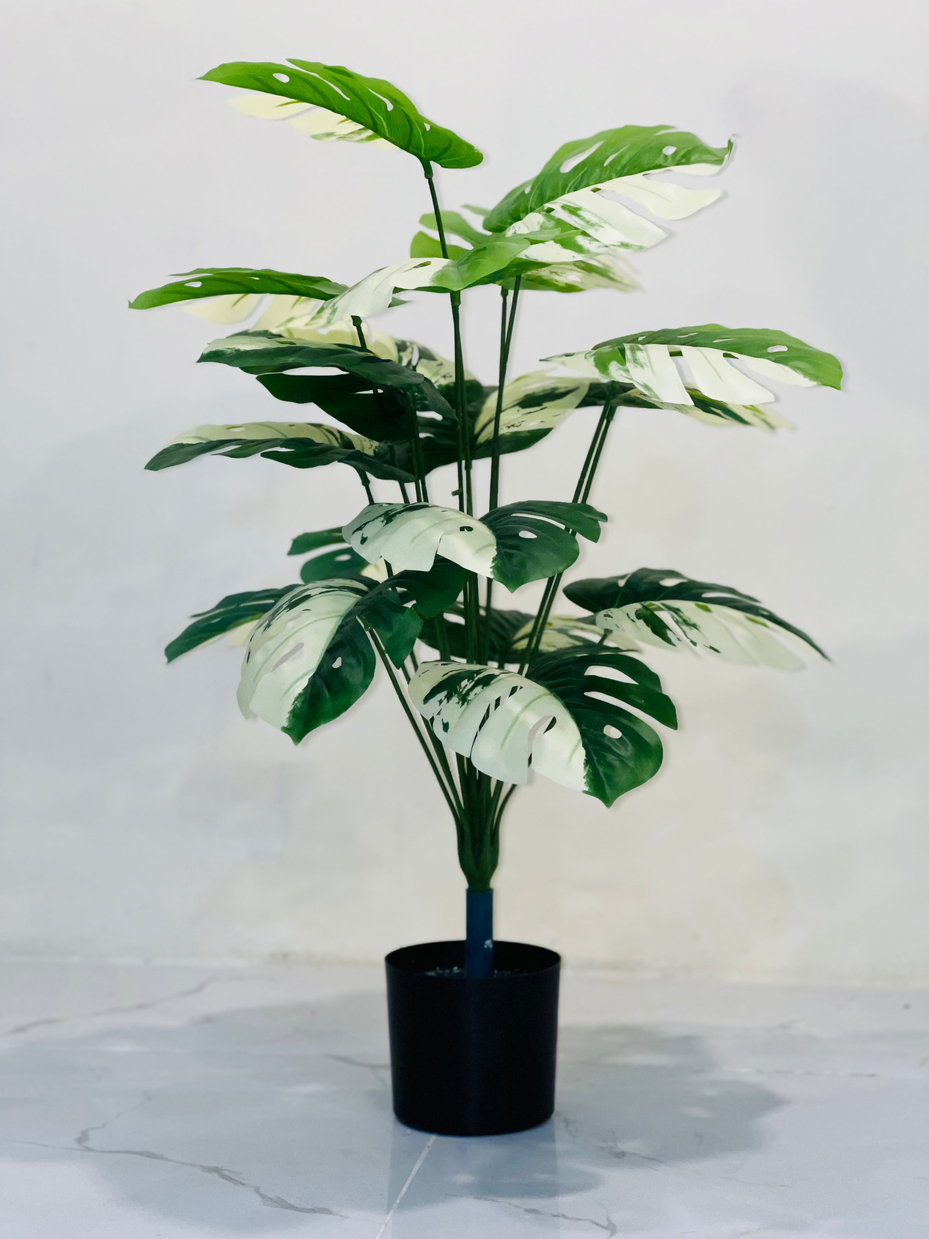 🤍🌿 Elegant White & Green Leaf Floral Plant