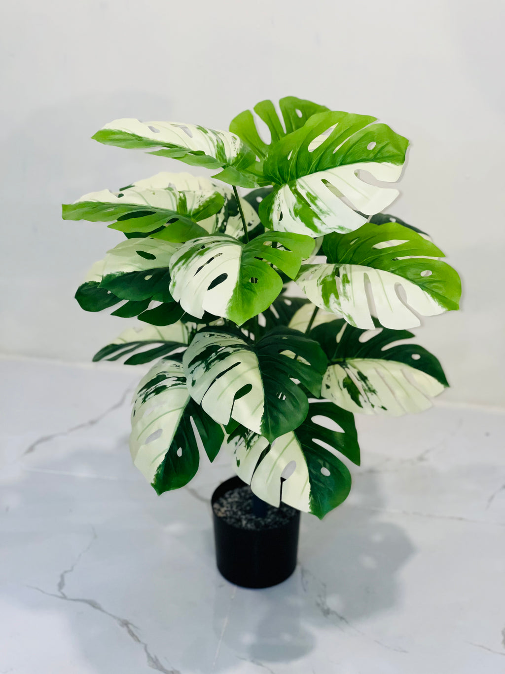🤍🌿 Elegant White & Green Leaf Floral Plant