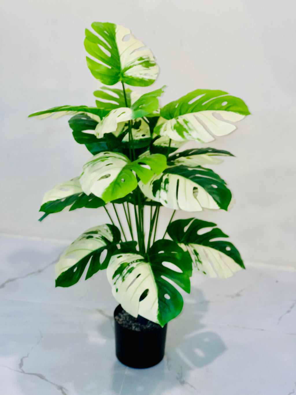 🤍🌿 Elegant White & Green Leaf Floral Plant