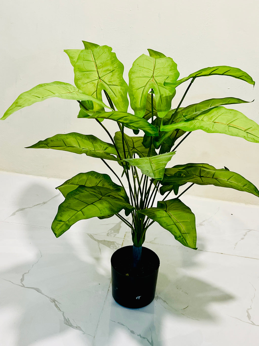 ❤️🌿 Luxury Botanical Plant with Red Veins