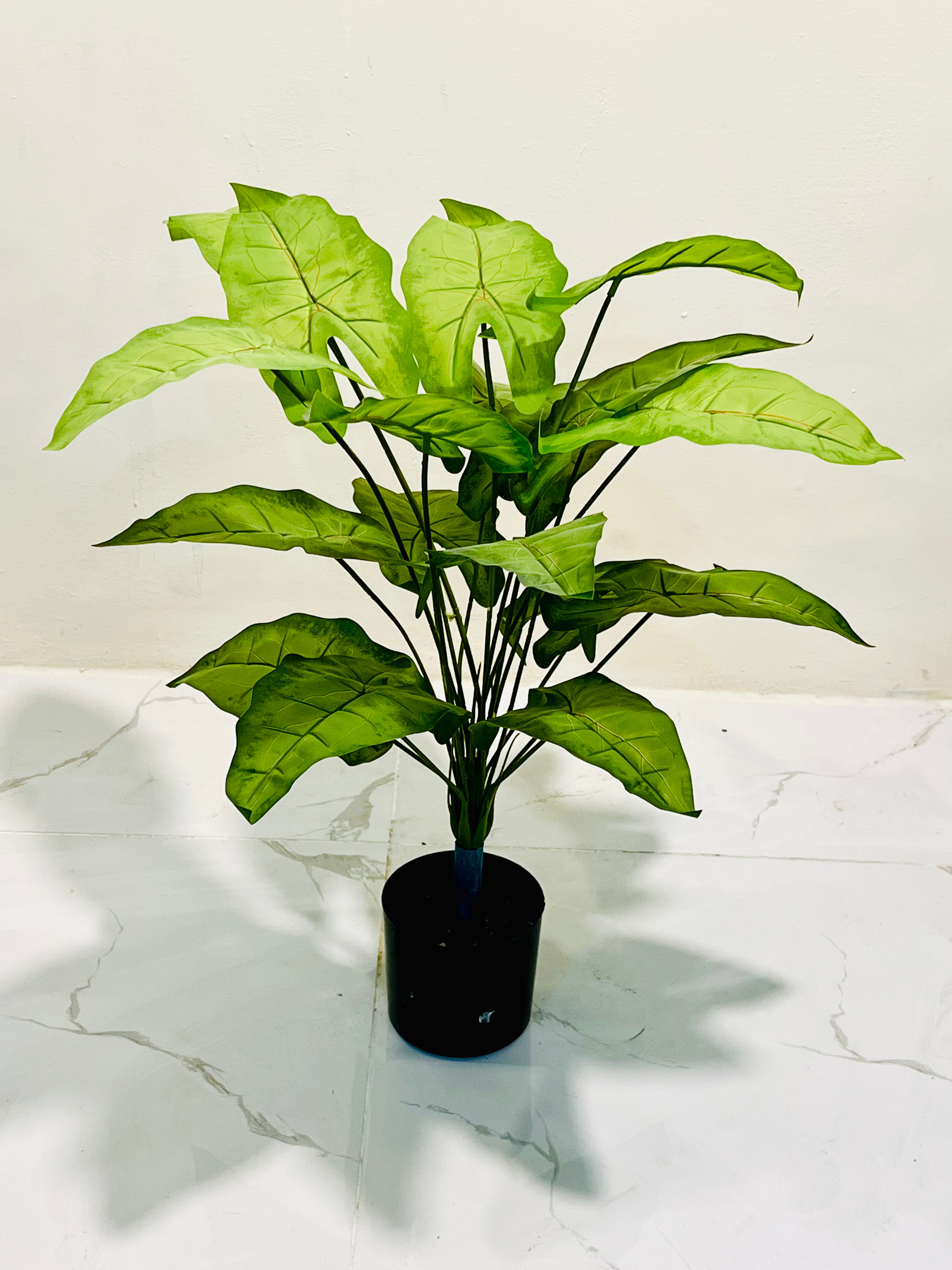 ❤️🌿 Luxury Botanical Plant with Red Veins