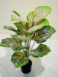 🌸 Pink & Green Elegant Decorative Plant