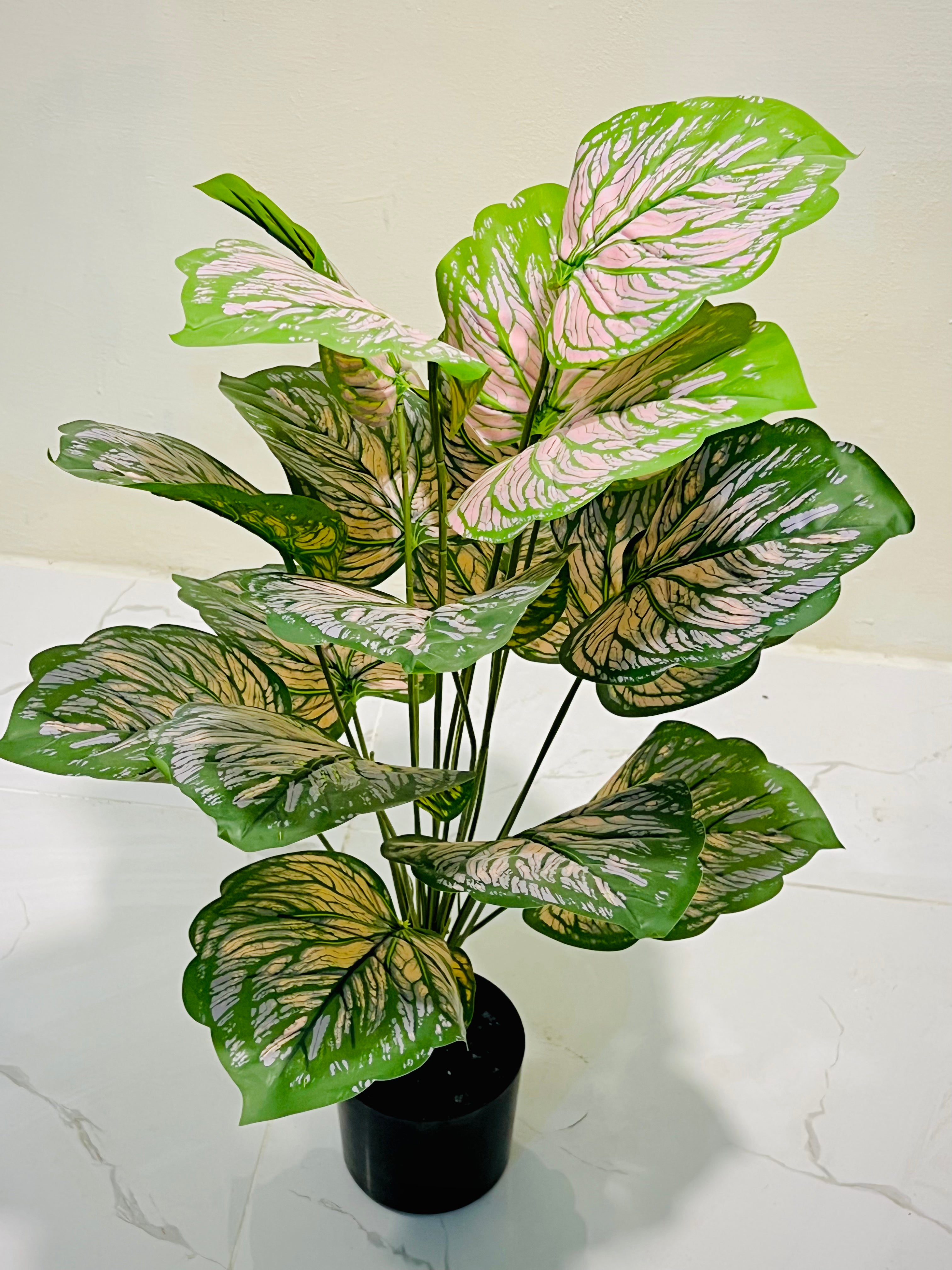 🌸 Pink & Green Elegant Decorative Plant