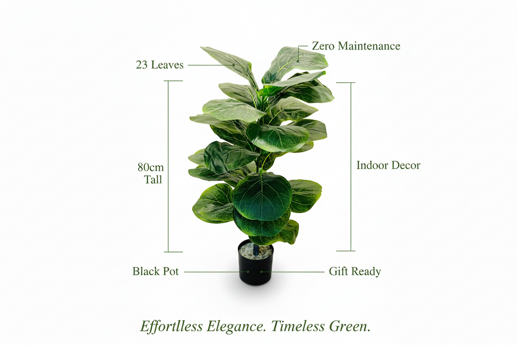 🌱 Premium Full Green Leaf Plant