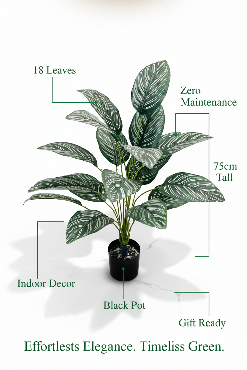 🌱 Dark Green White Aesthetic Plant