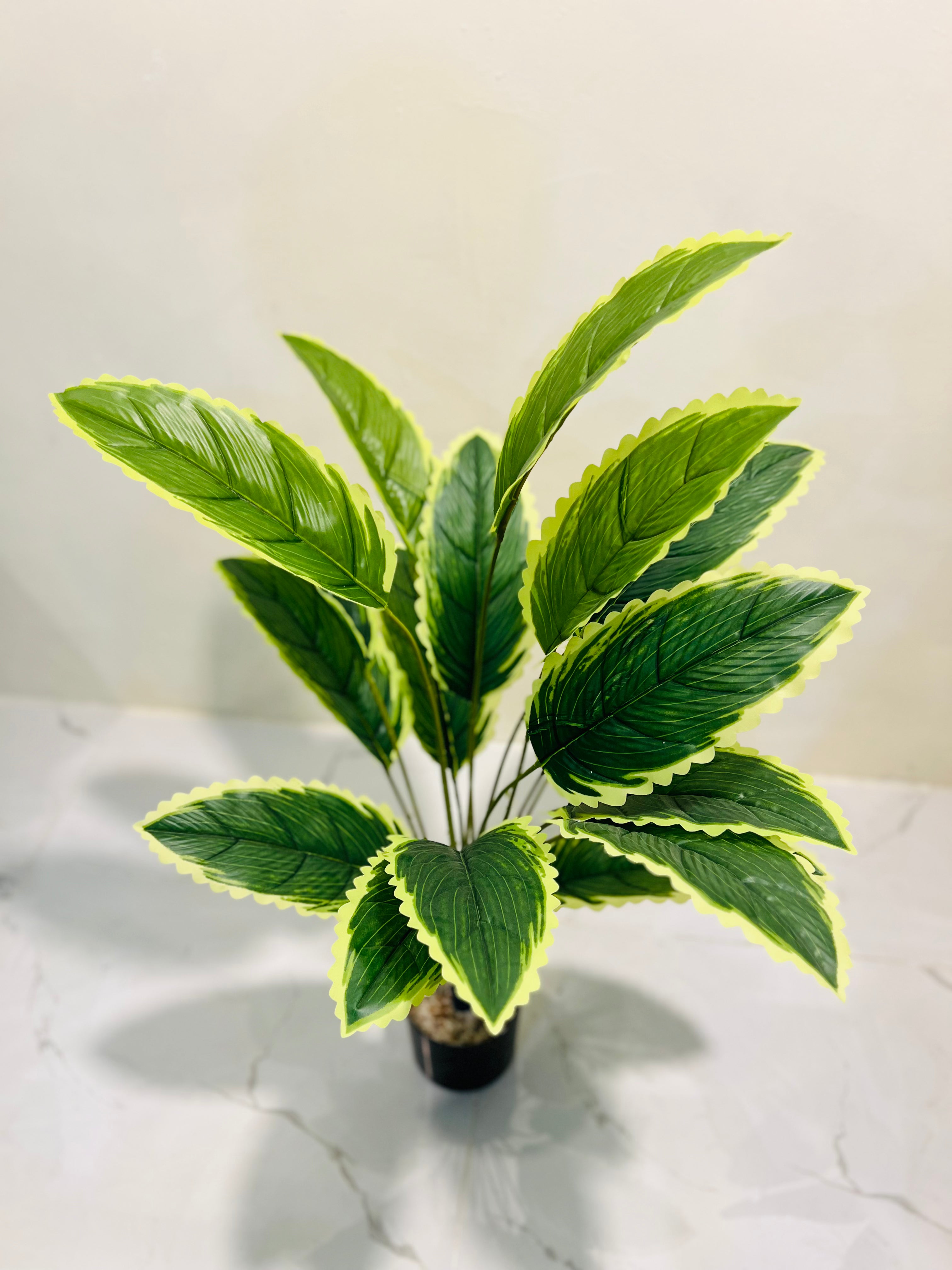 🌼✨ Sunlit Green Leaf  – Yellow & Green Plant