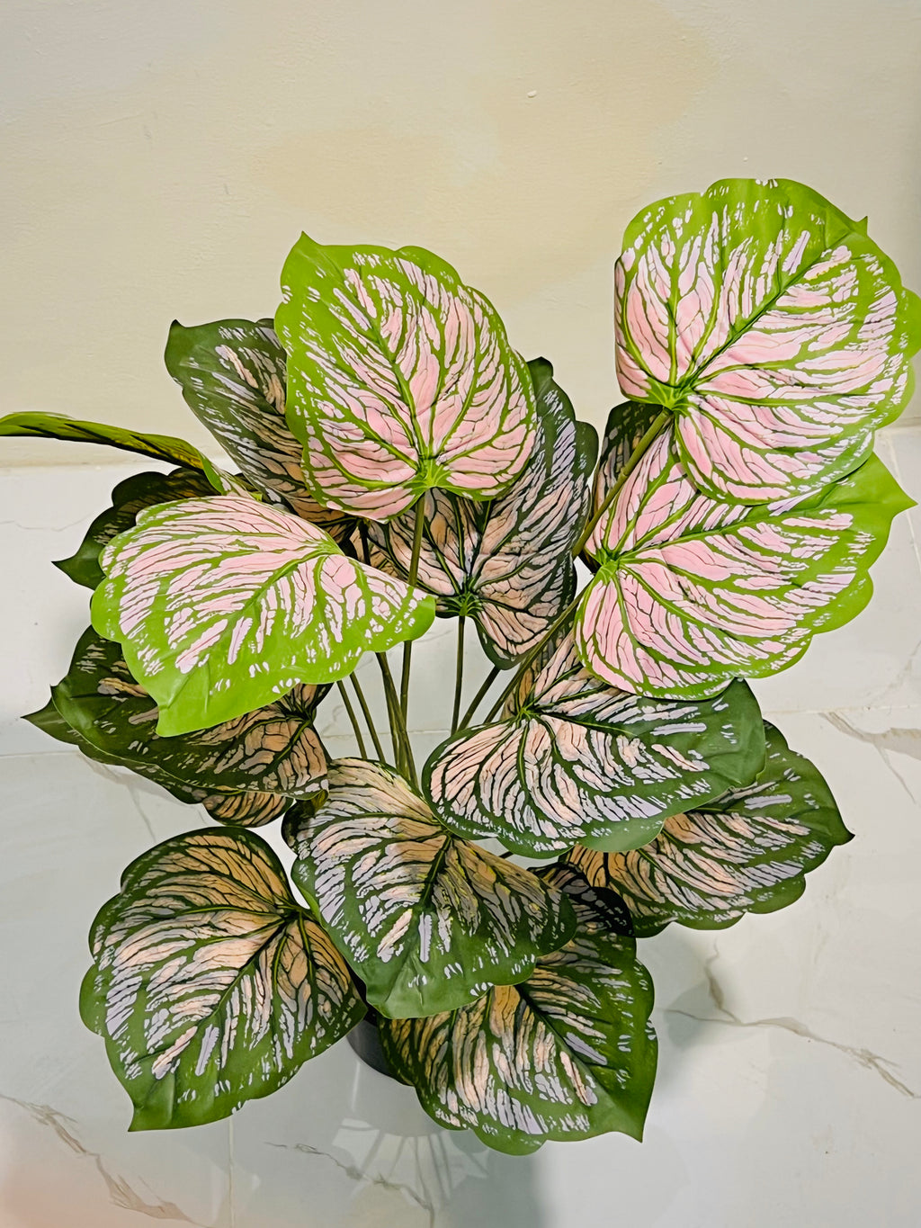 🌸 Pink & Green Elegant Decorative Plant